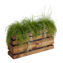 Jardinière rectangle LIGN Z - 50 x 15 x 25 cm - Jardipolys