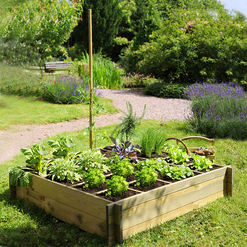 Exemple de carré potager 3